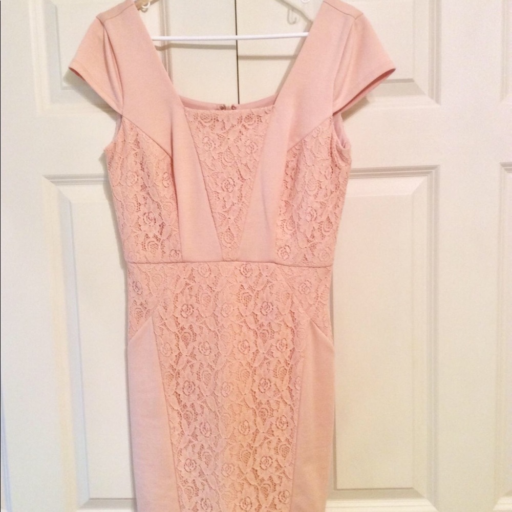The Limited fitted cap sleeve blush dress